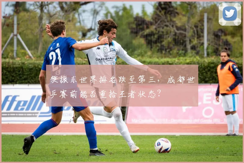 樊振东世界排名跌至第三,成都世乒赛前能否重拾王者状态?