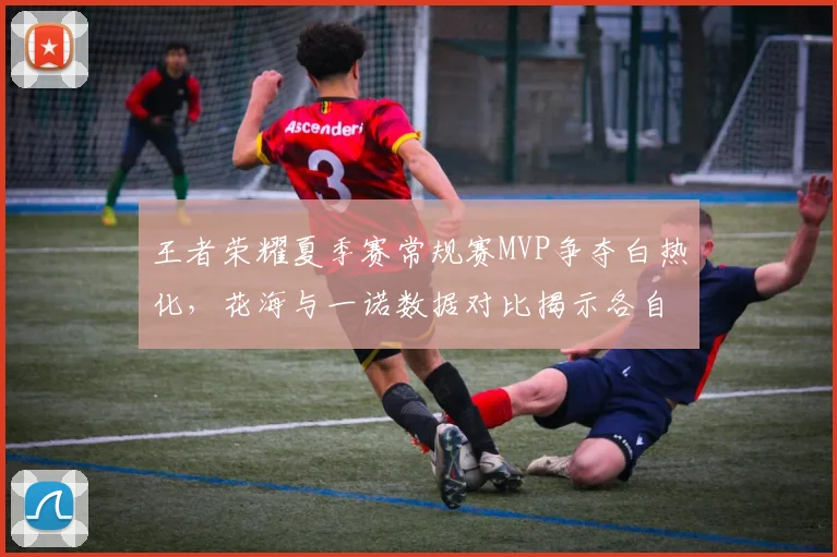 王者荣耀夏季赛常规赛MVP争夺白热化,花海与一诺数据对比揭示各自优势