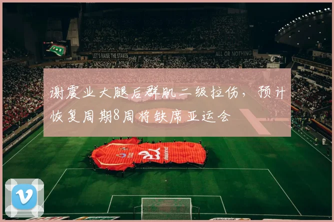 谢震业大腿后群肌二级拉伤，预计恢复周期8周将缺席亚运会
